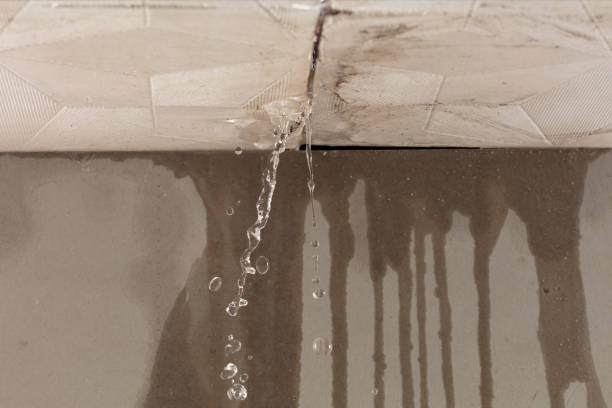 Professional Structural Drying technician working in McChord AFB, WA